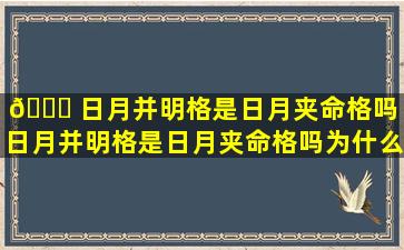 🍀 日月并明格是日月夹命格吗「日月并明格是日月夹命格吗为什么 🌹 」